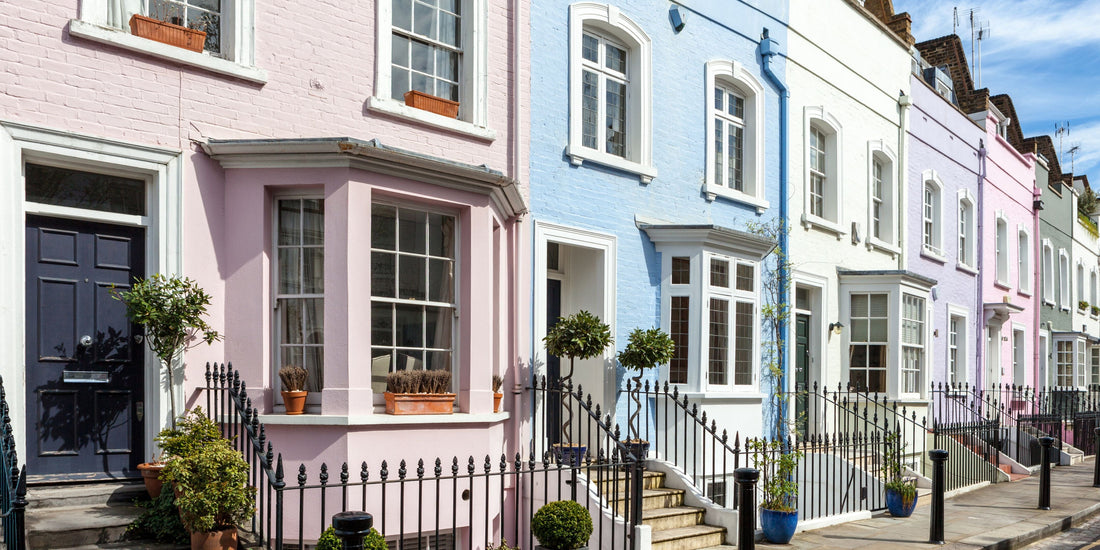 Good Neighbours: Do Pleached Trees Need My Neighbours' Permission? | The Complete Guide to Pleached Trees