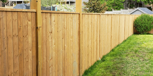 Wonky Garden, Level Trees: How to Plant Pleached Trees on a Slope? | The Complete Guide to Pleached Trees