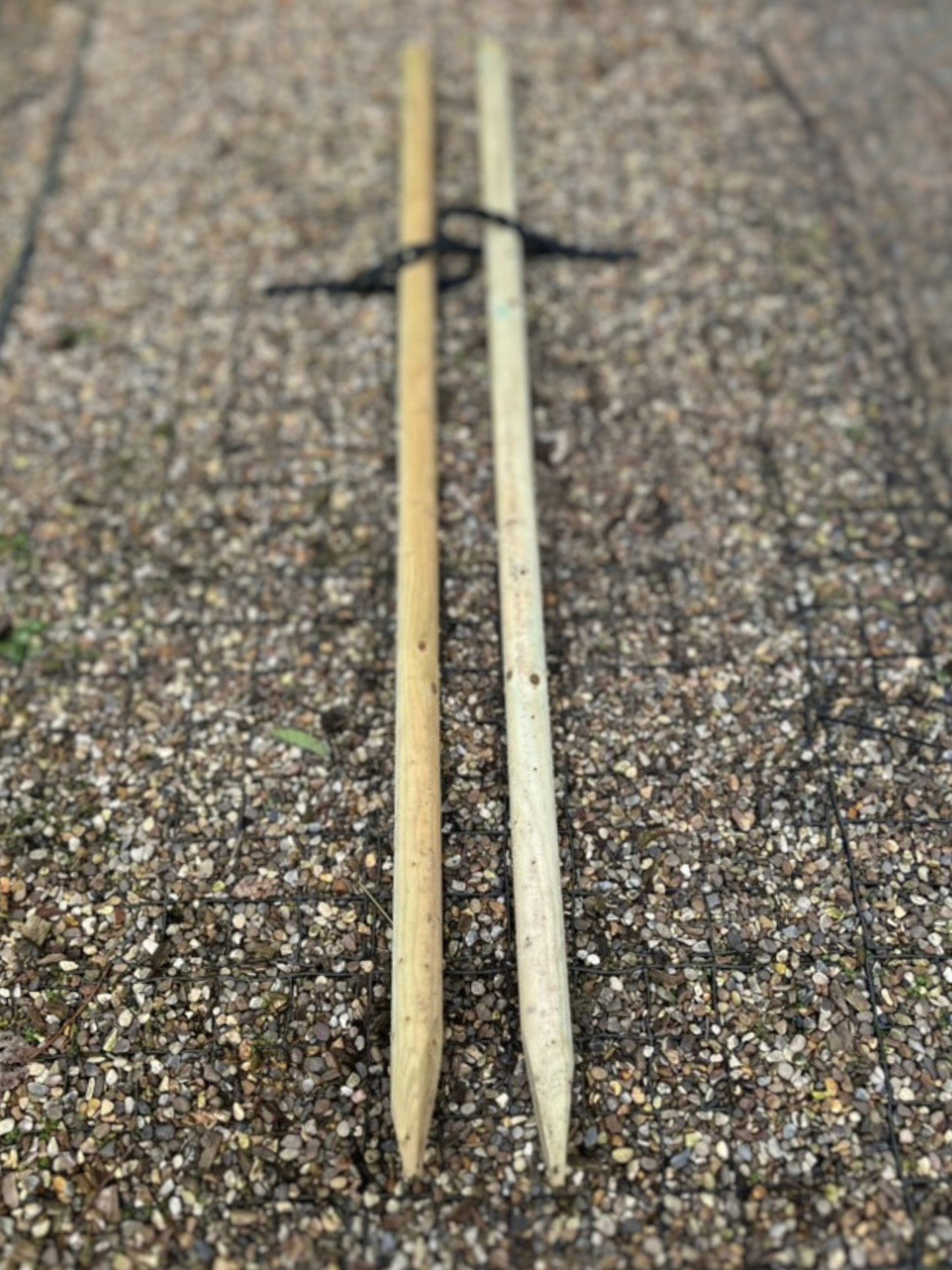 Tree Staking Kit | Double Stakes