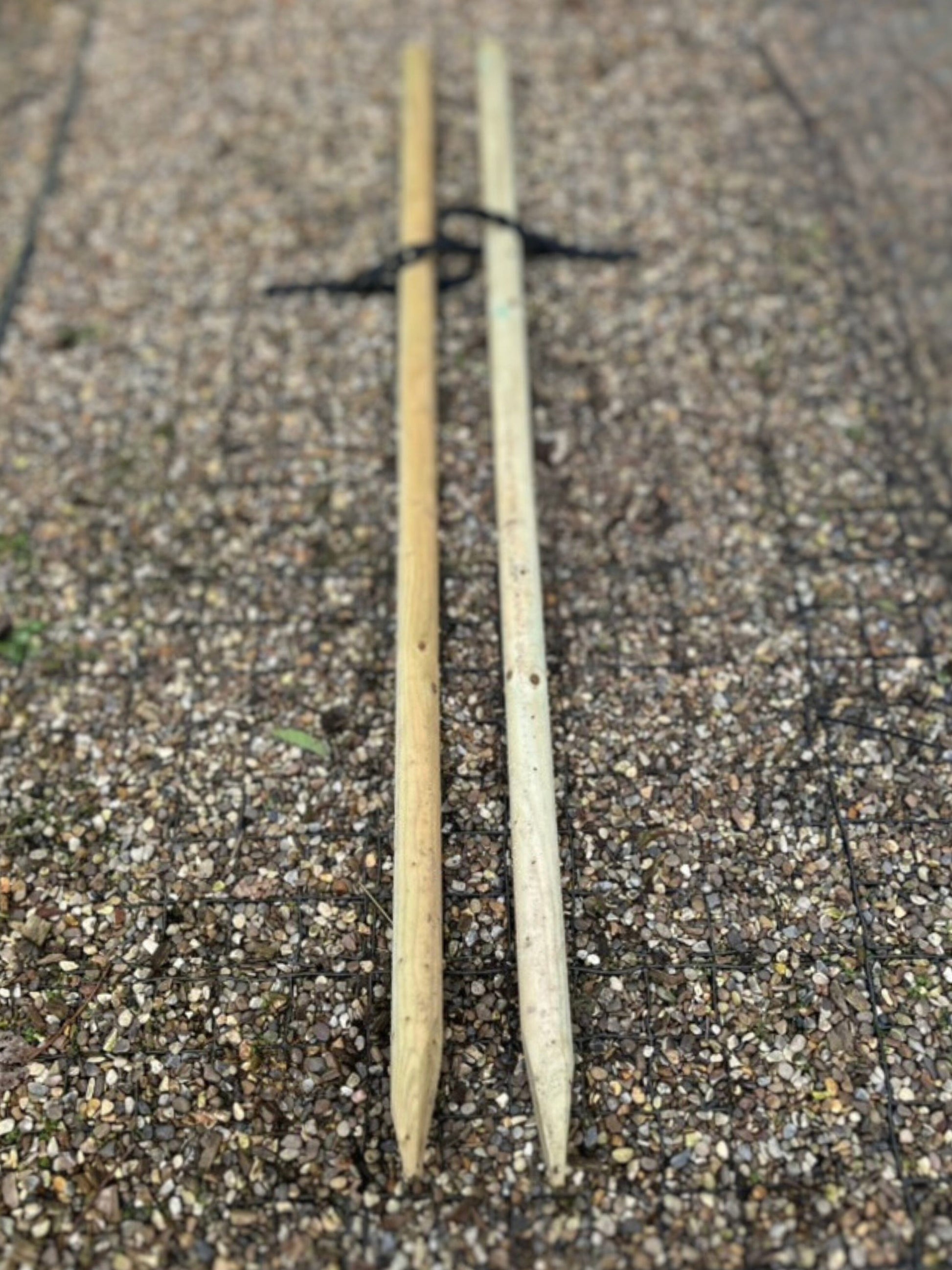 Tree Staking Kit | Double Stakes