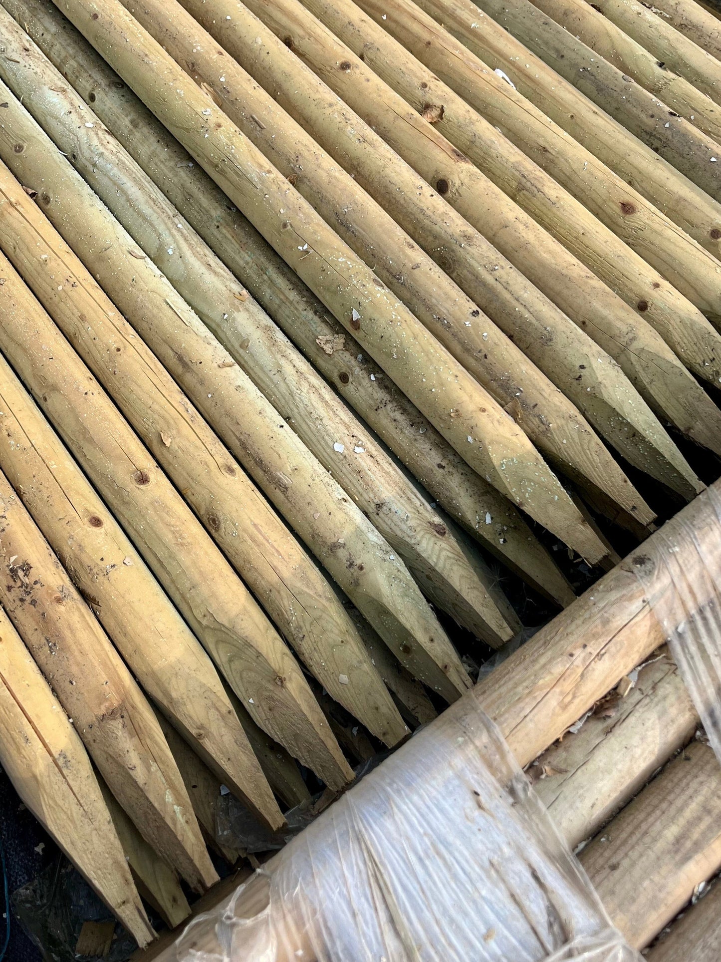 Tree Staking Kit | Double Stakes