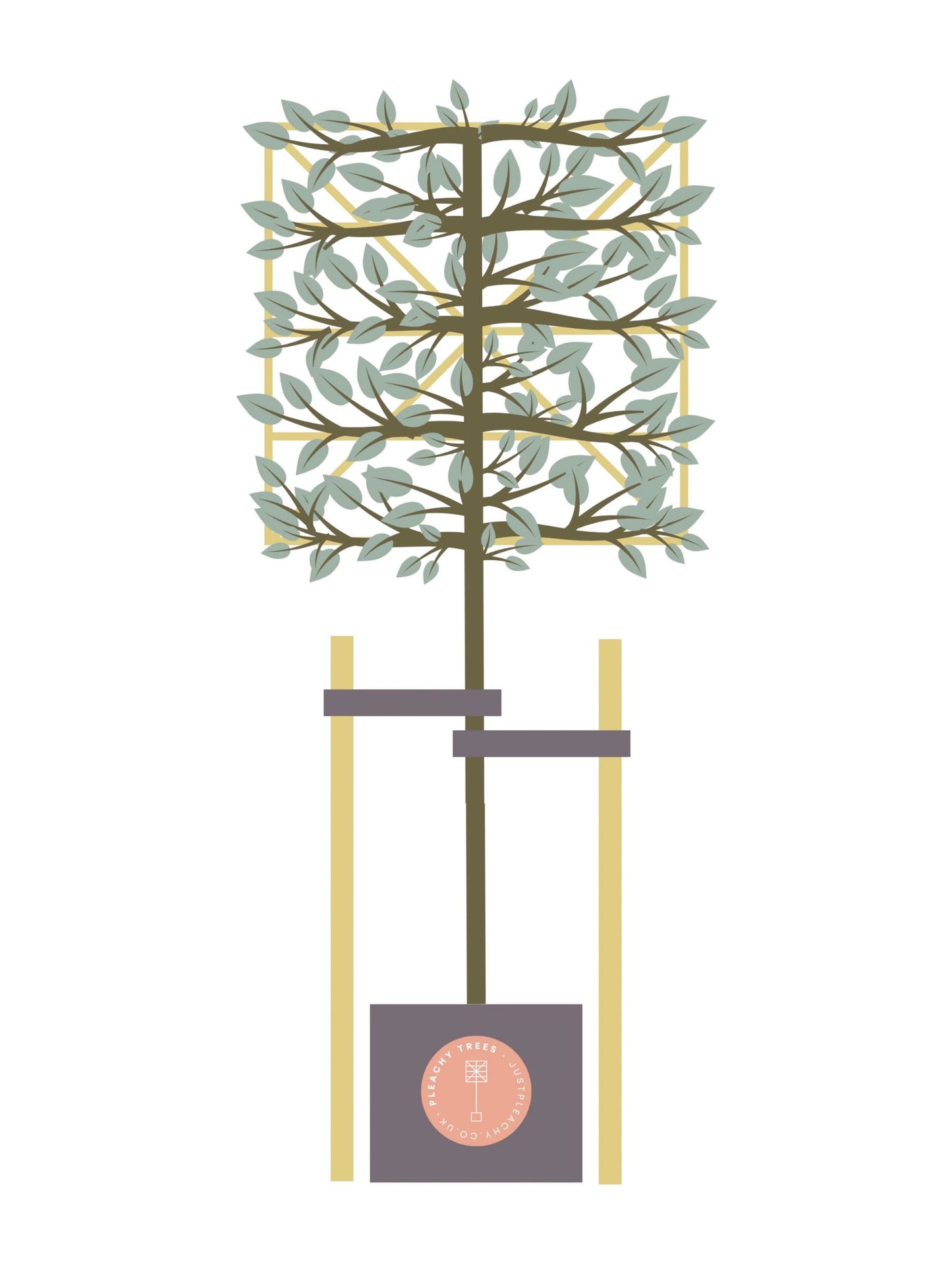Tree Staking Kit | Double Stakes | Suitable for a 150-180cm Clear Stem Tree