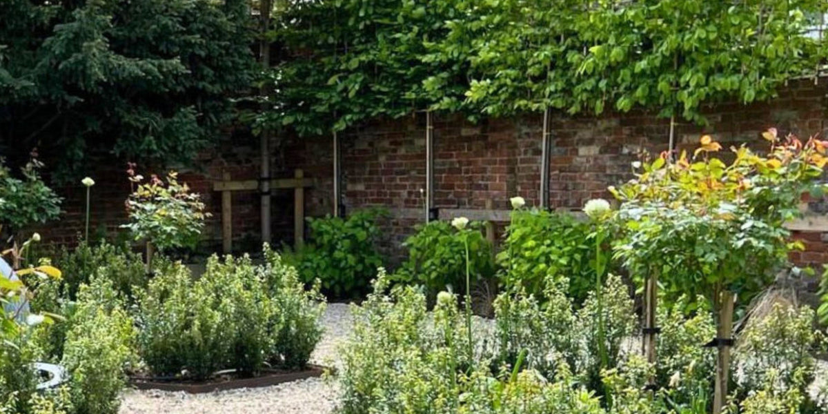 Design by Numbers: Attractive Ways to Plant Pleached Trees | Pleached ...