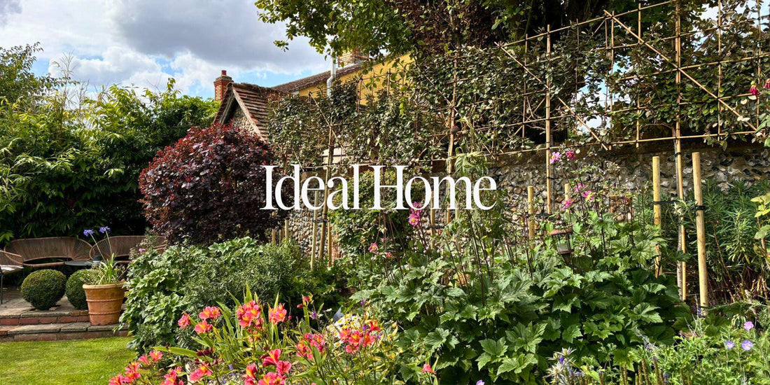 Ideal Home Asks Just Pleachy Are Pleached Trees Worth It? Here's what you need to know about David Beckham's garden must-have | The Pleachy Post