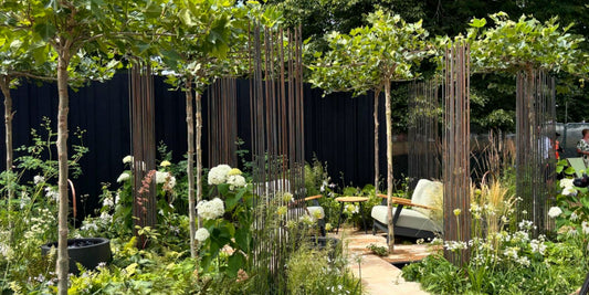 RHS Gold Medal! London Plane Parasol Trees Have Their Day in the Sun in A Garden of Two Tales | The Pleachy Post