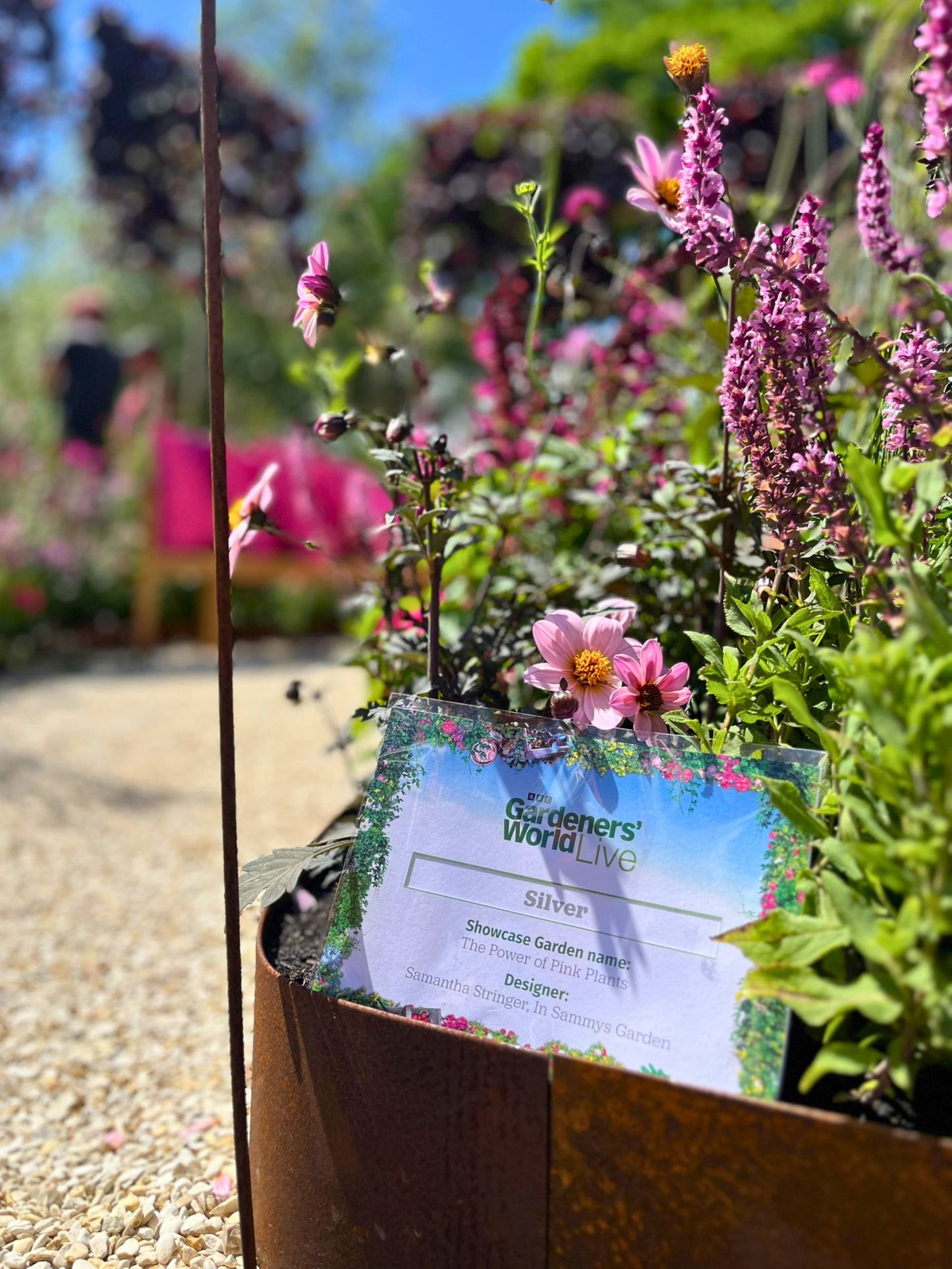 Featured in the Silver Merit award-winning The Power of Pink Plants  at BBC Gardeners’ World Live