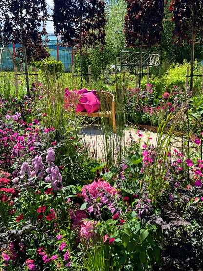 Featured in the Silver Merit award-winning The Power of Pink Plants  at BBC Gardeners’ World Live