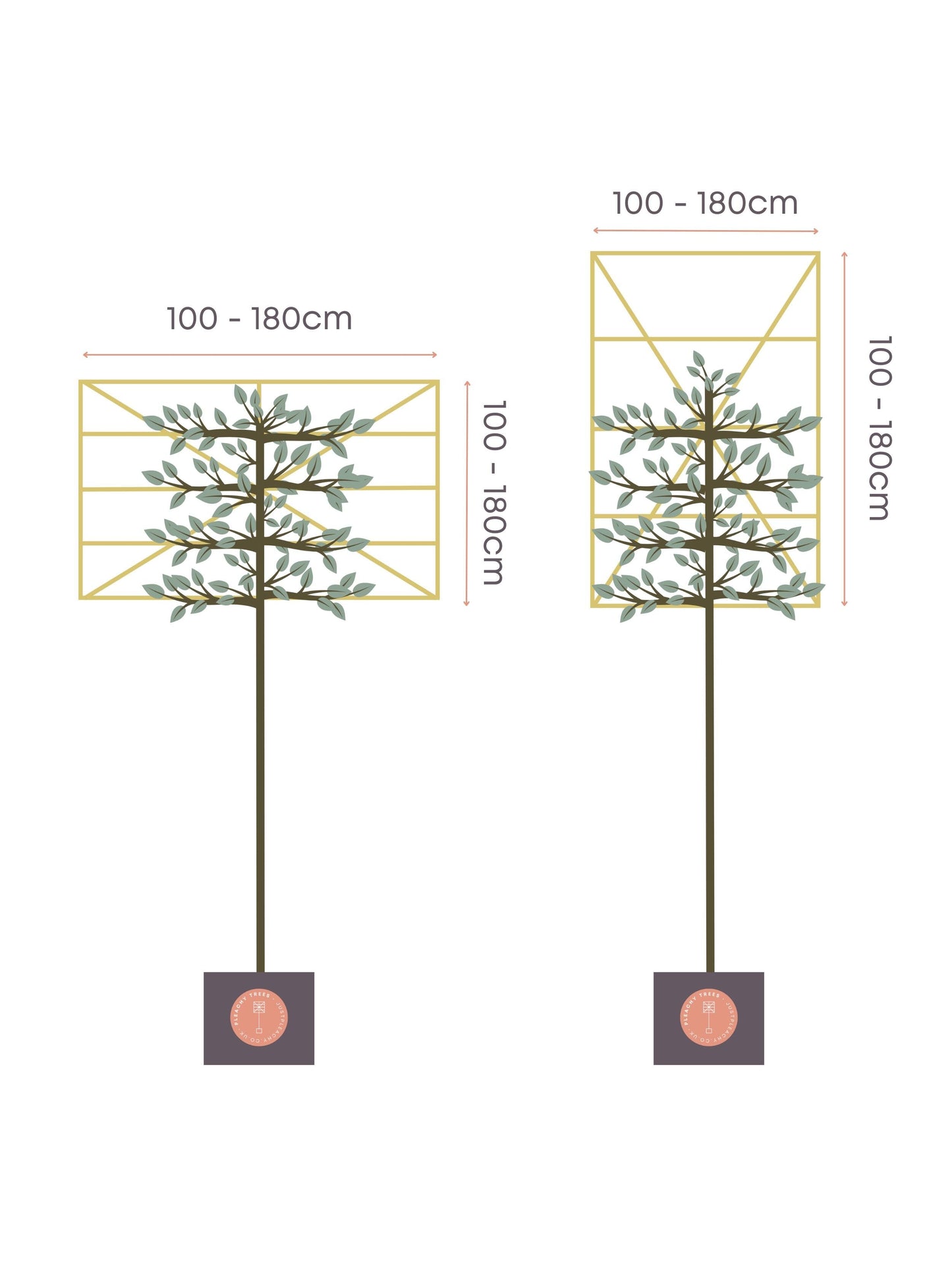 Custom sized frame | Per tree