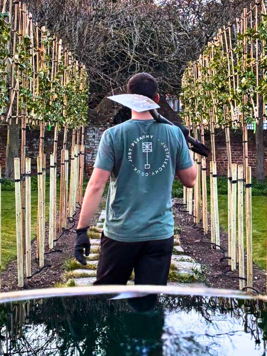 Pleached Tree Planting Service | Includes Staking Kits, Soaker Hose, Fertiliser & Compost