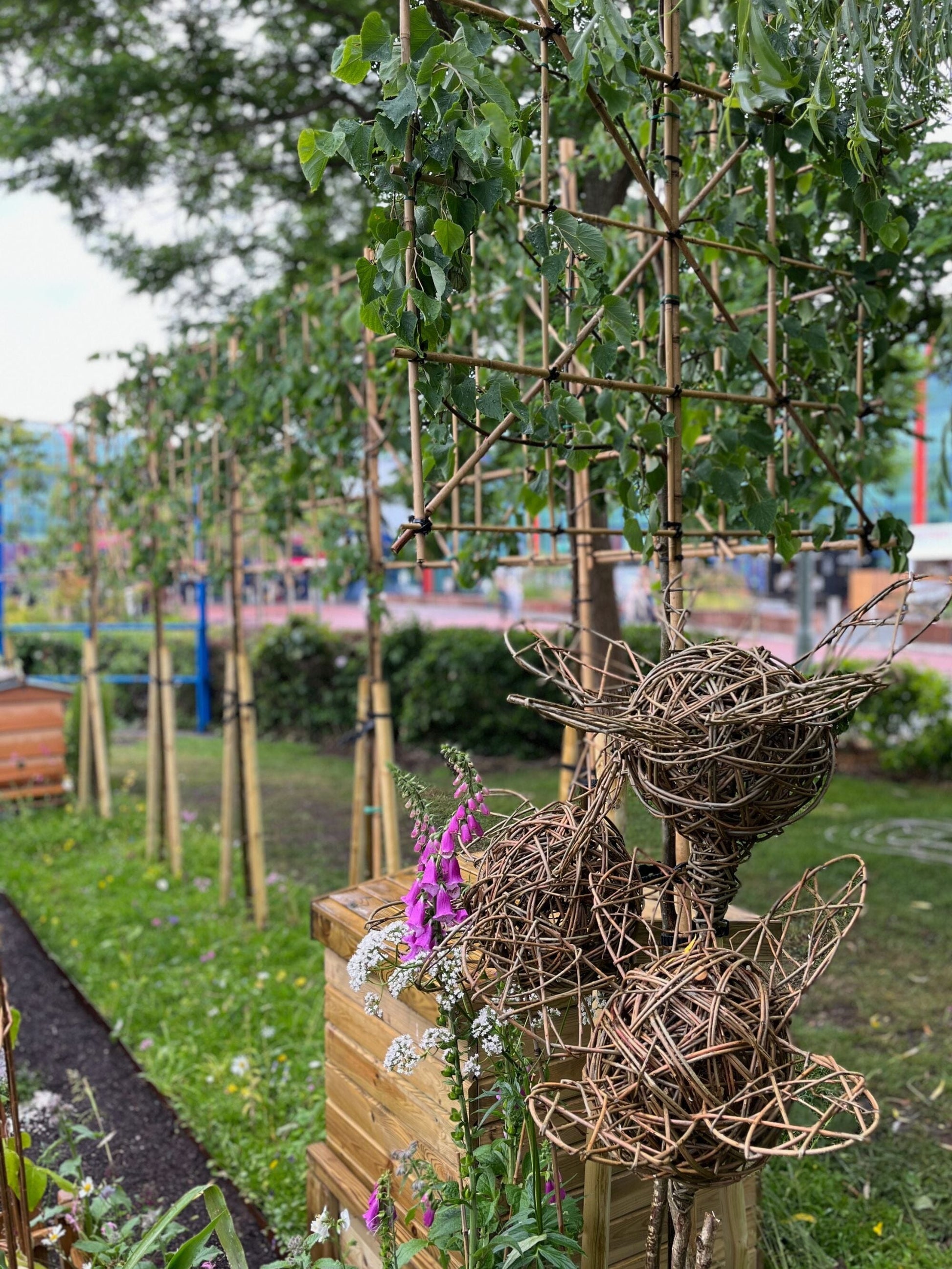 180cm / 12-14cm / 120x120cm / Freshly Pleached / June