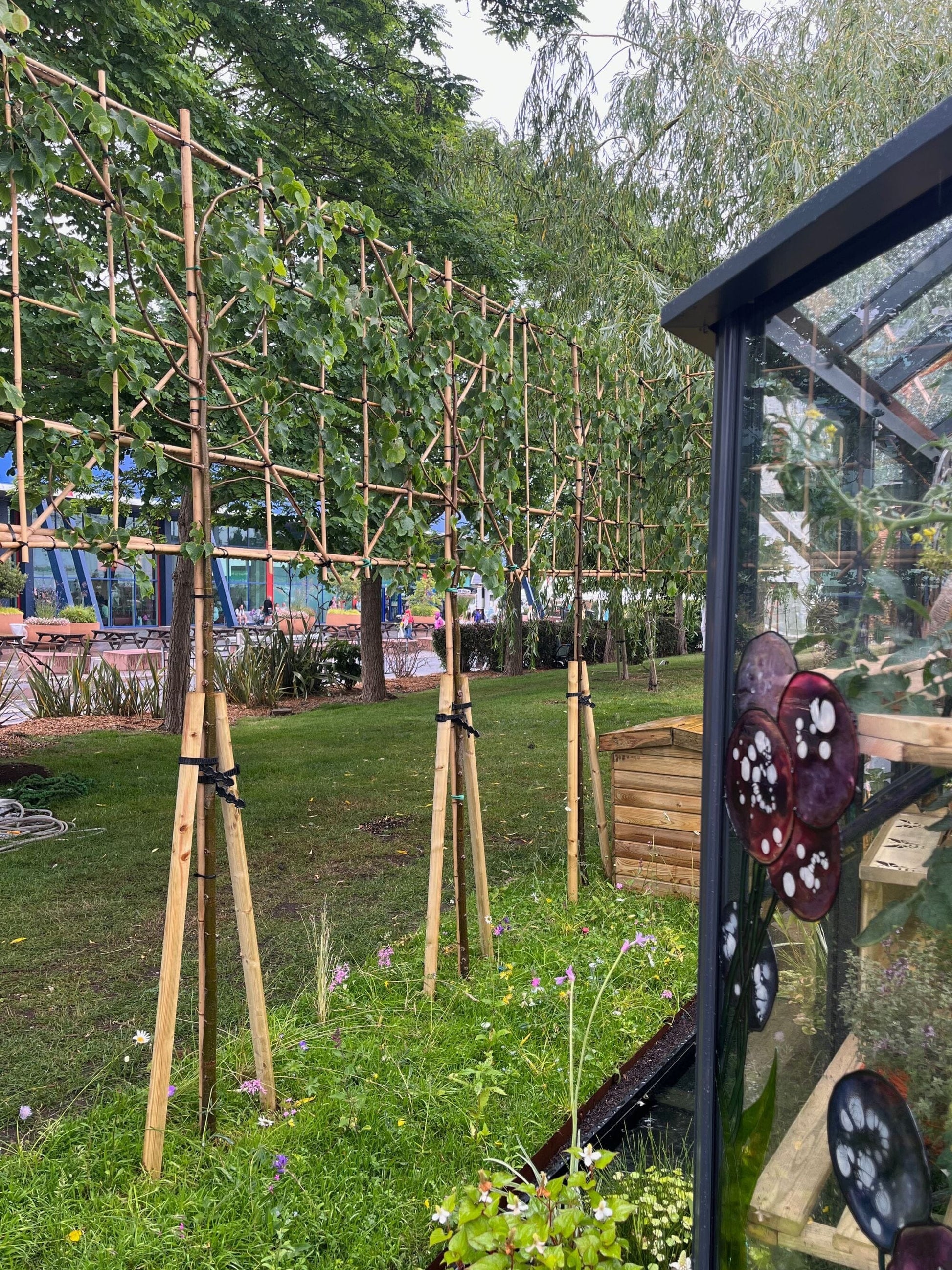 180cm / 12-14cm / 120x120cm / Freshly Pleached / June