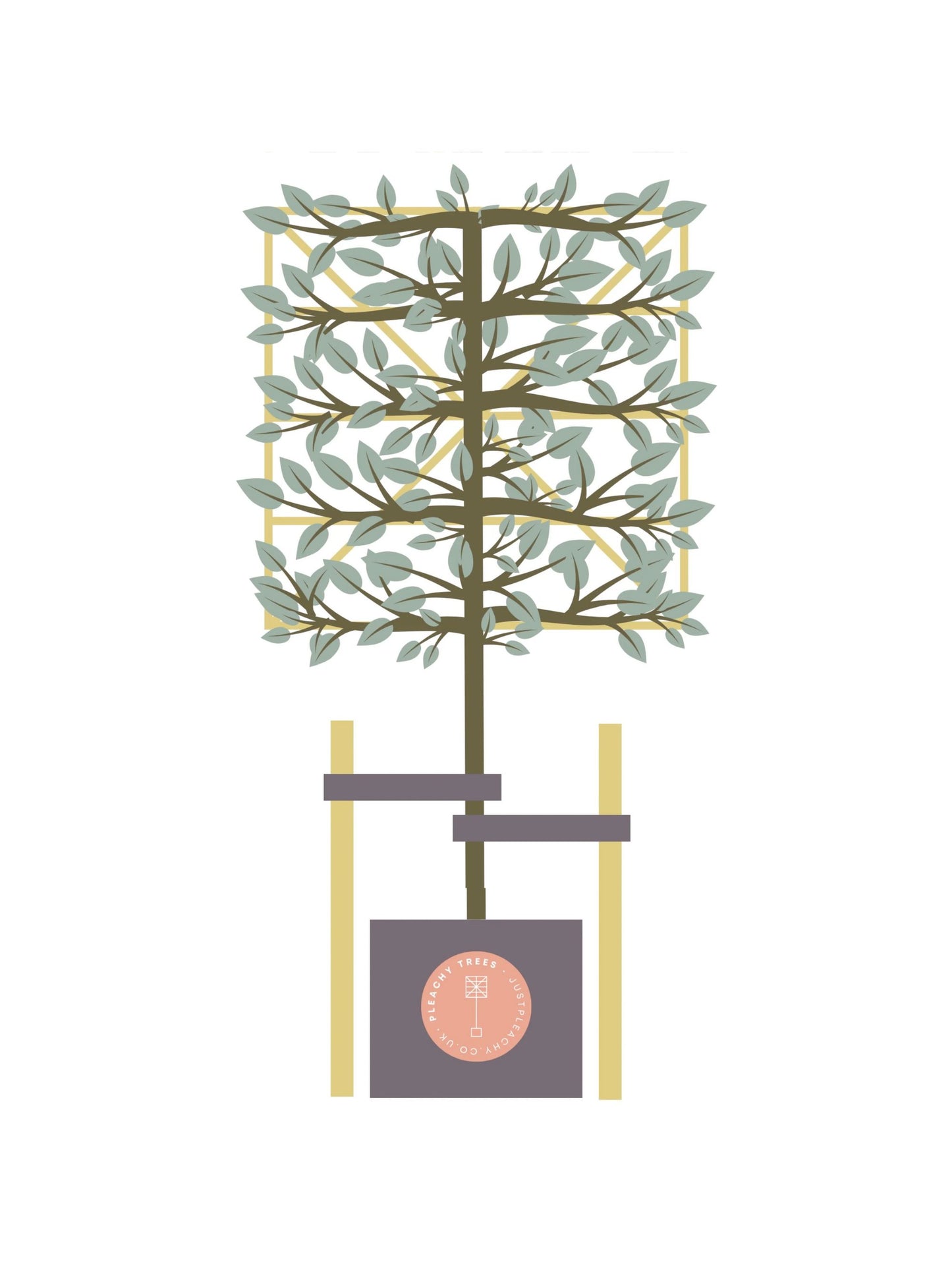 Tree Staking Kit | Double Stakes | Suitable for a 80-120cm Clear Stem Tree