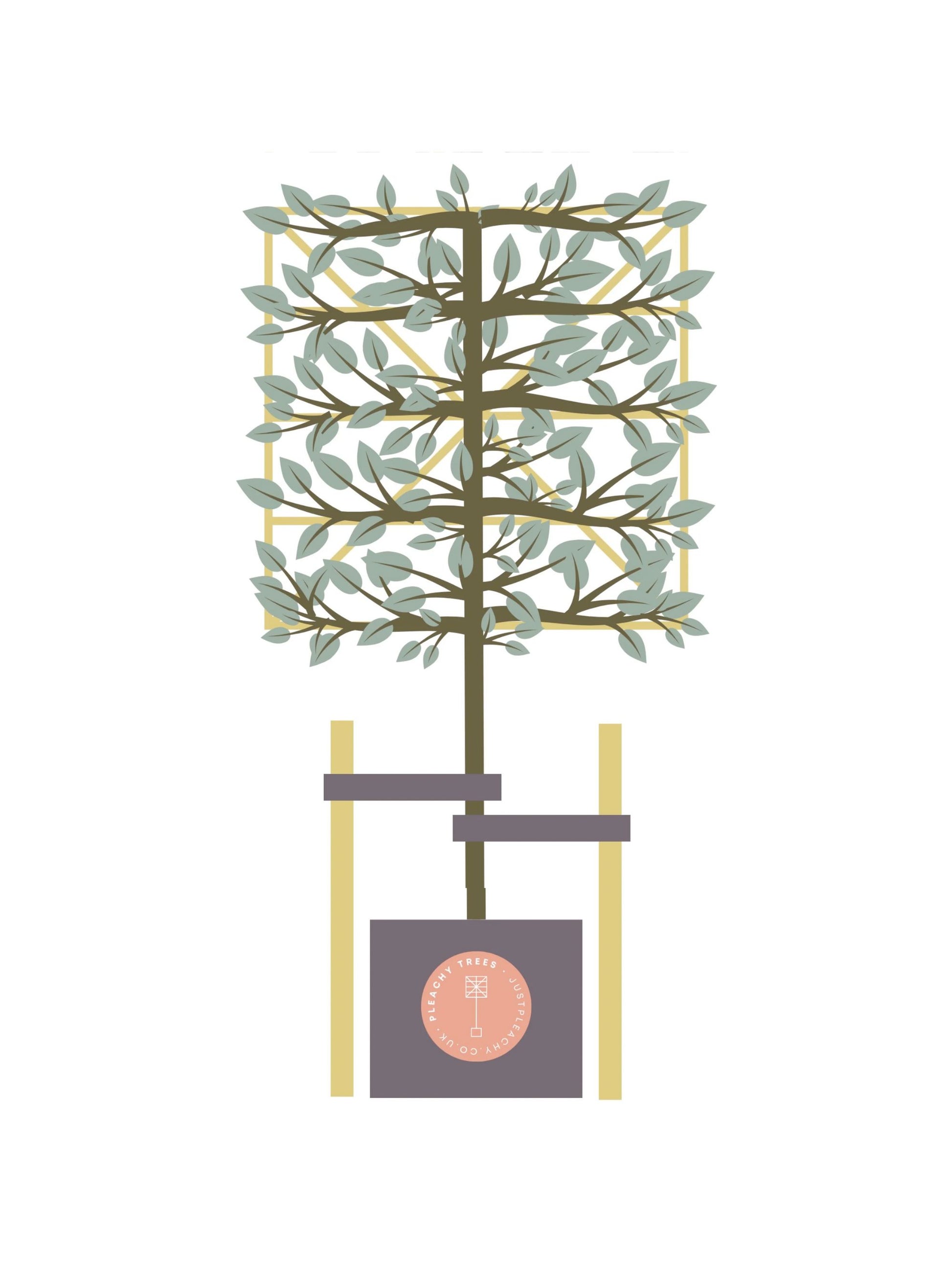 Tree Staking Kit | Double Stakes | Suitable for a 80-120cm Clear Stem Tree
